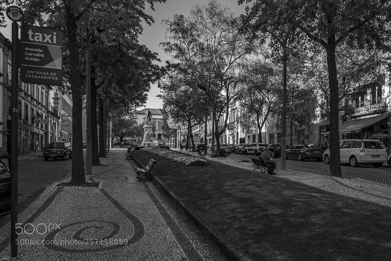 Fujifilm X-T10 sample photo. Statue of the avenue photography