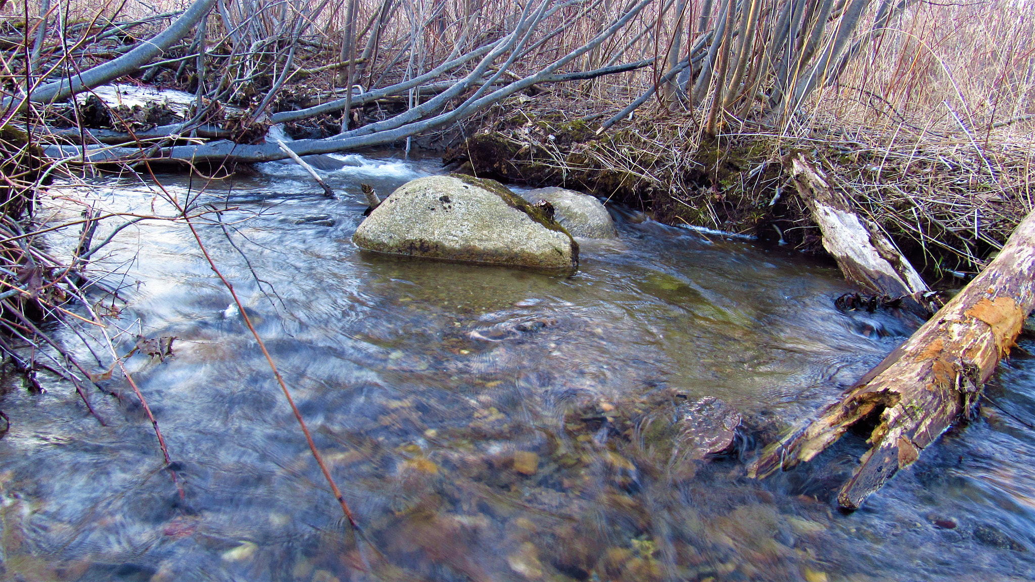 Canon PowerShot SX520 HS sample photo. Stream photography