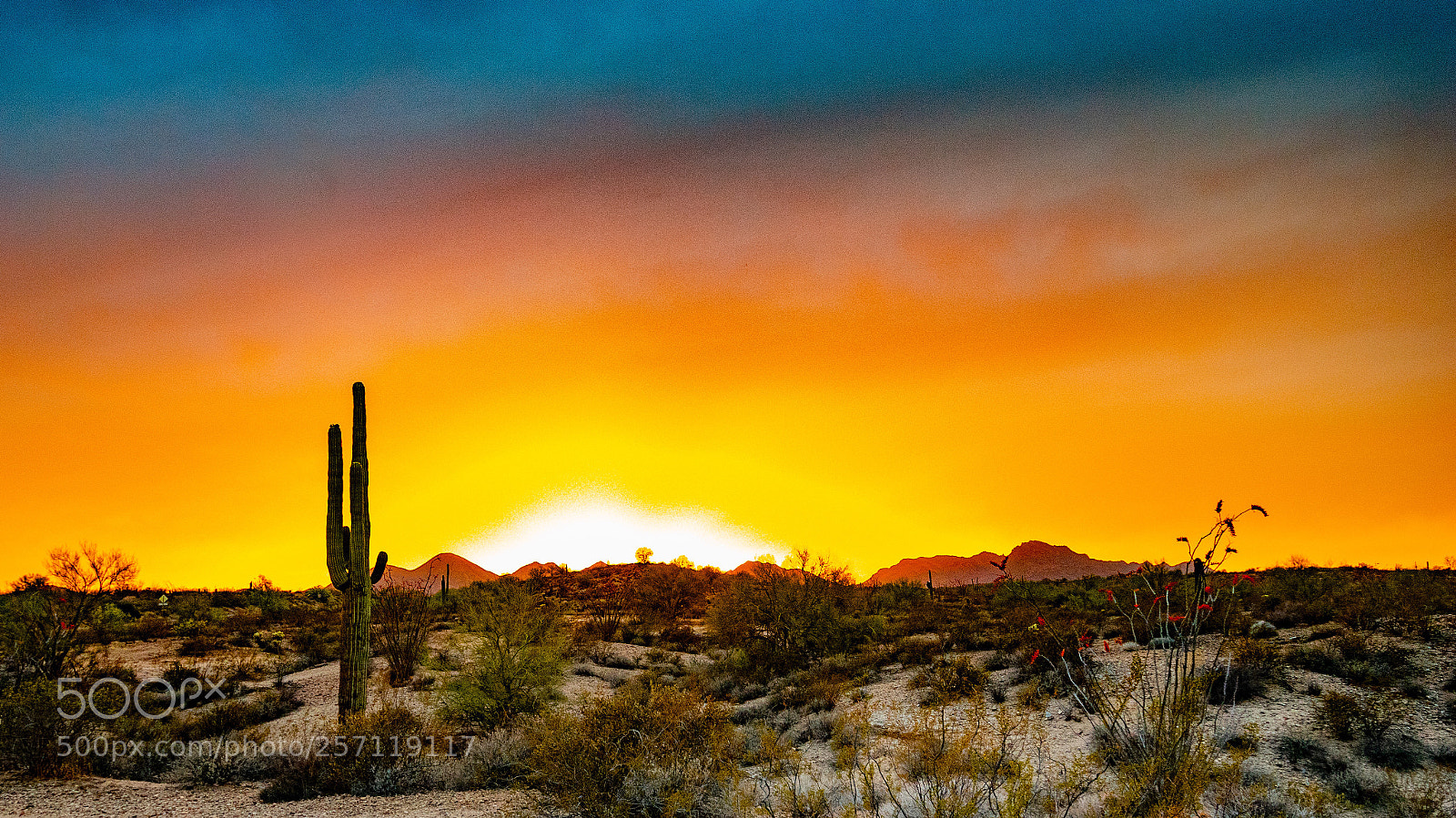 Nikon D5500 sample photo. Desert sunset photography