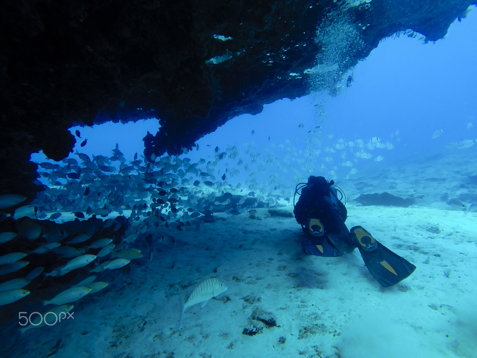 GoPro HERO3+ Black Edition sample photo. Divers near a wall photography