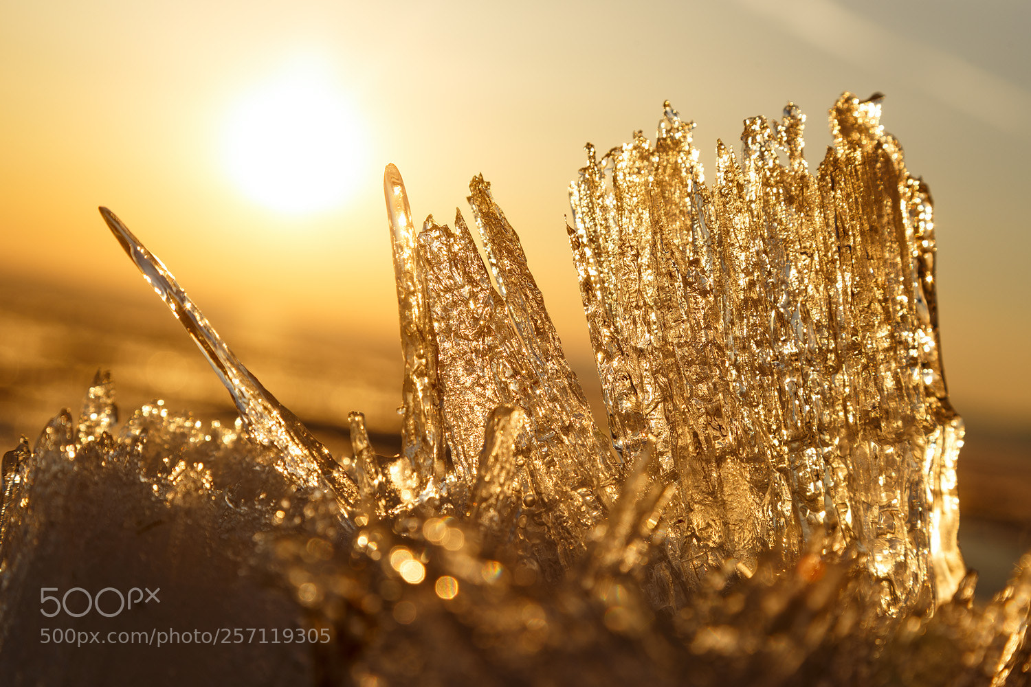 Canon EOS 6D sample photo. Icicle at sunrise photography
