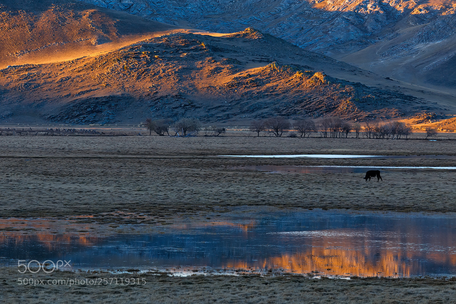 Canon EOS 6D sample photo. Sunset at siberian steppe photography