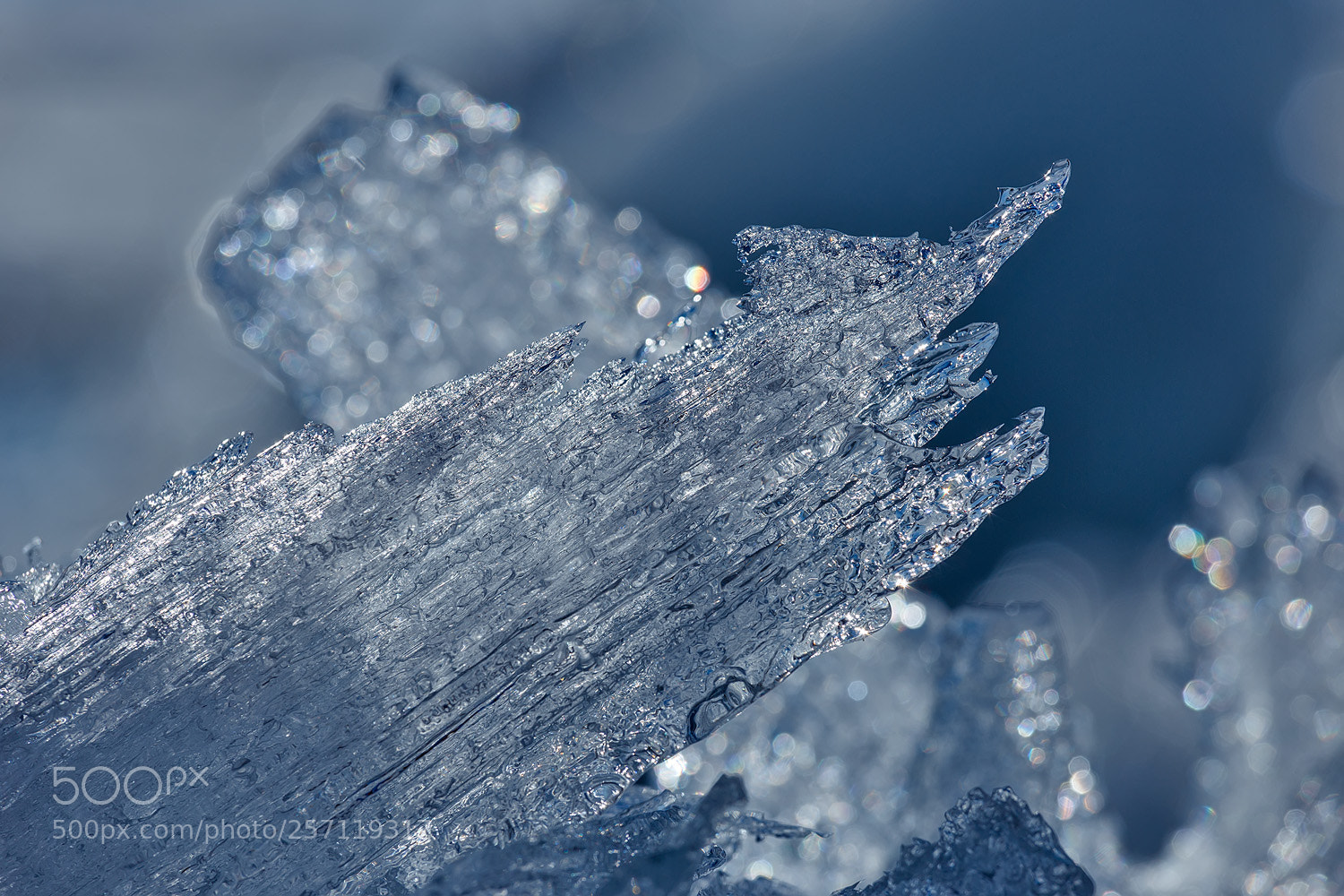 Canon EOS 6D sample photo. Shining icicles with blue photography