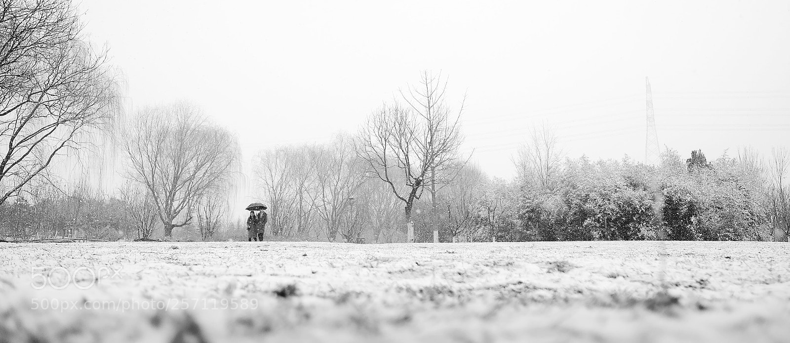 Fujifilm X70 sample photo. Snowing photography