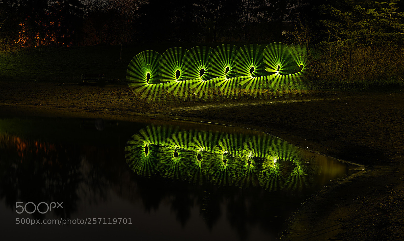 Nikon D810 sample photo. Green light photography