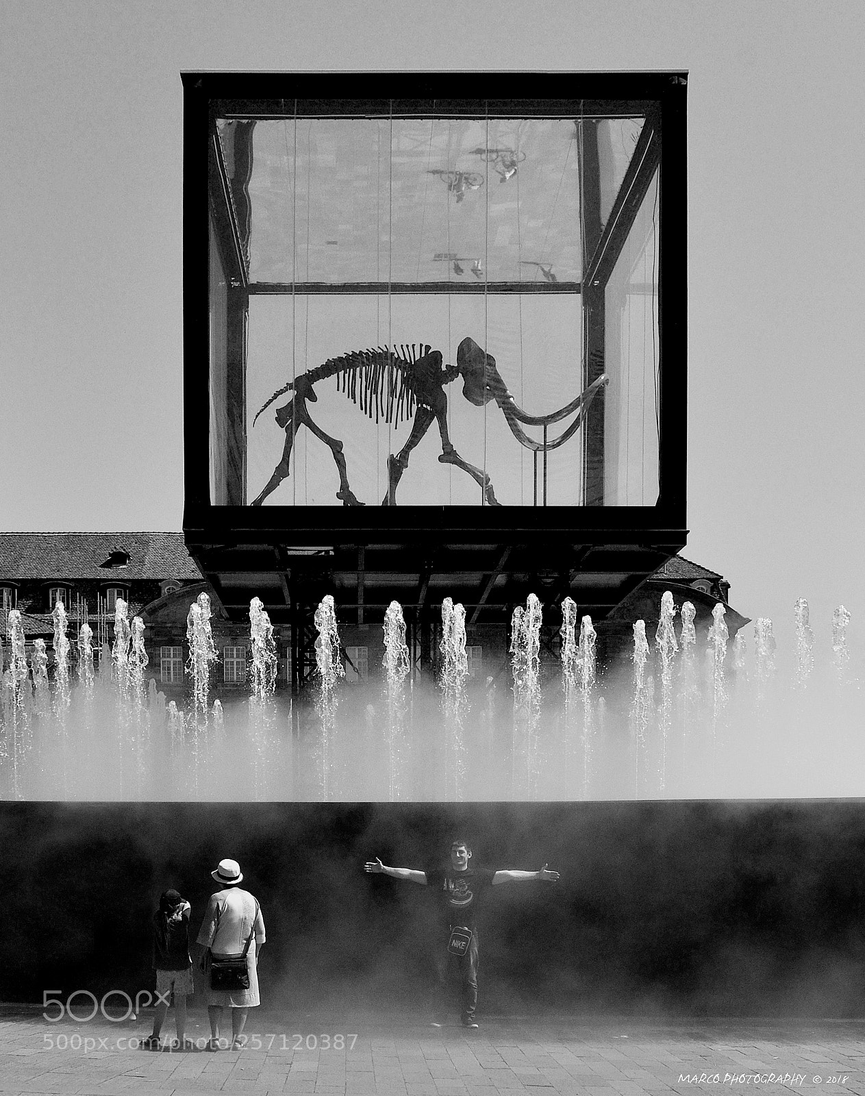 Nikon D90 sample photo. Mammoth photography