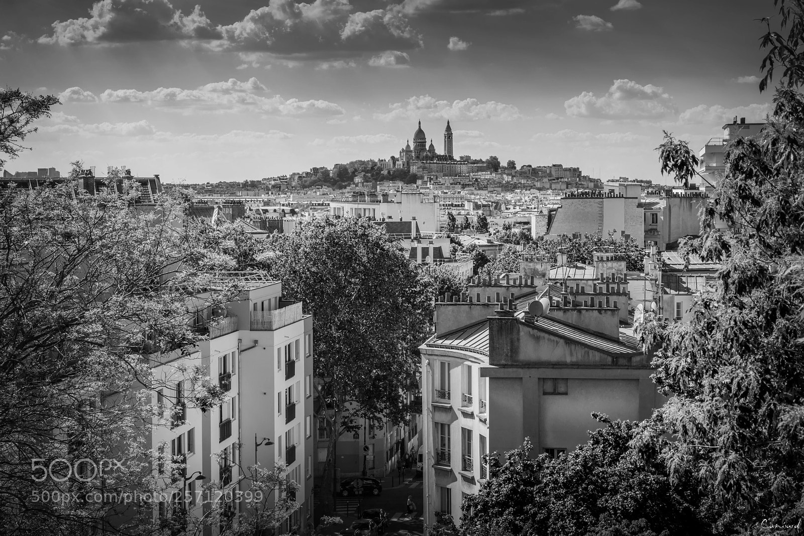 Nikon D800 sample photo. Paris - buttes-chaumont photography