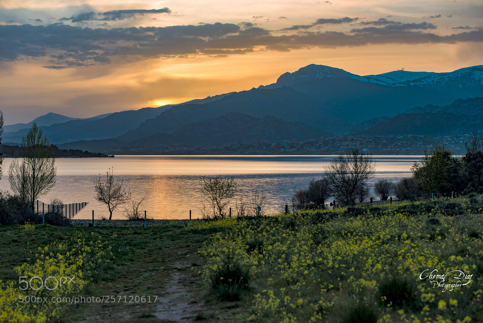 Nikon D800 sample photo. "the sounds of silence " photography