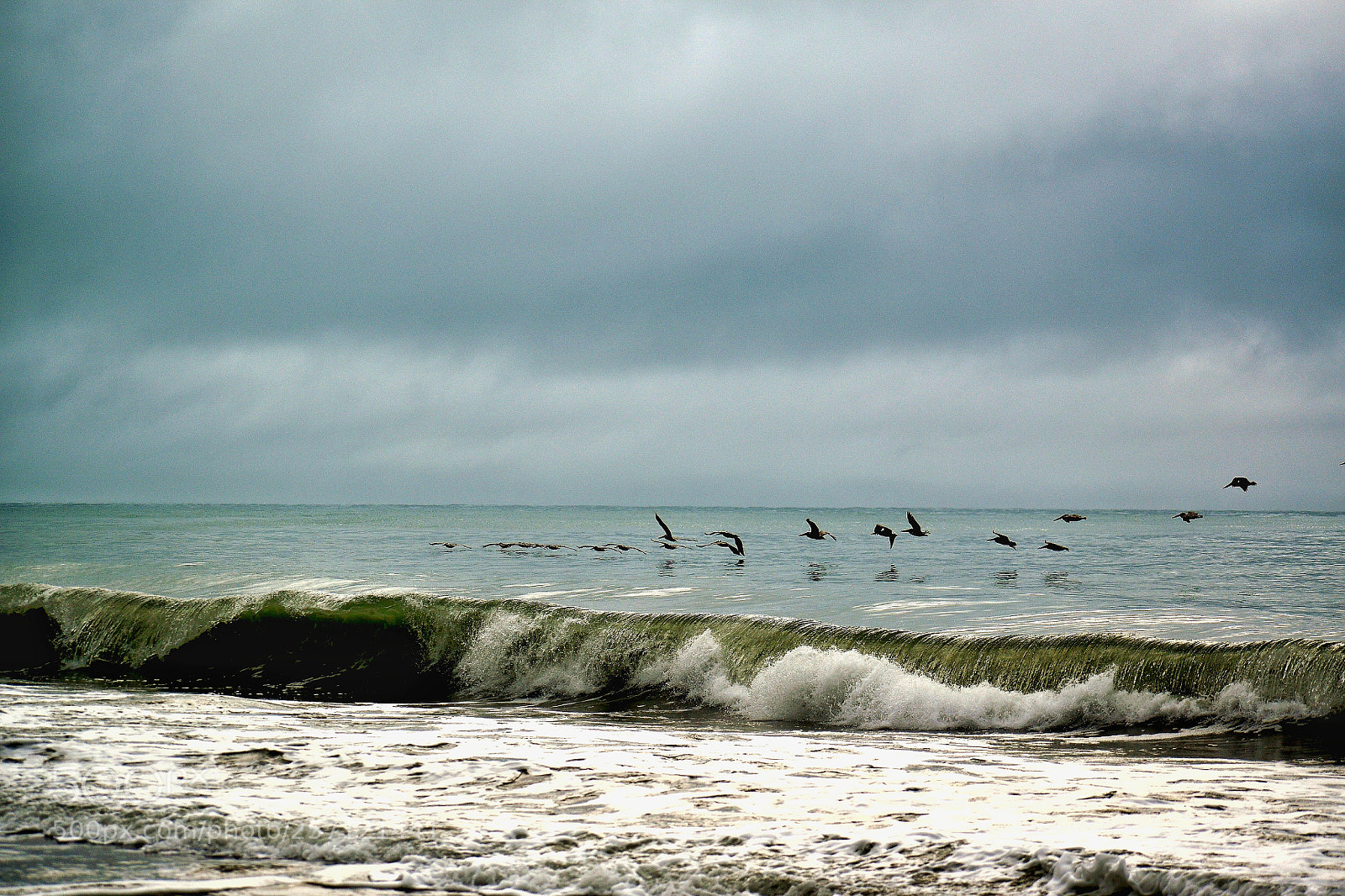 Nikon D5600 sample photo. Untitled photography