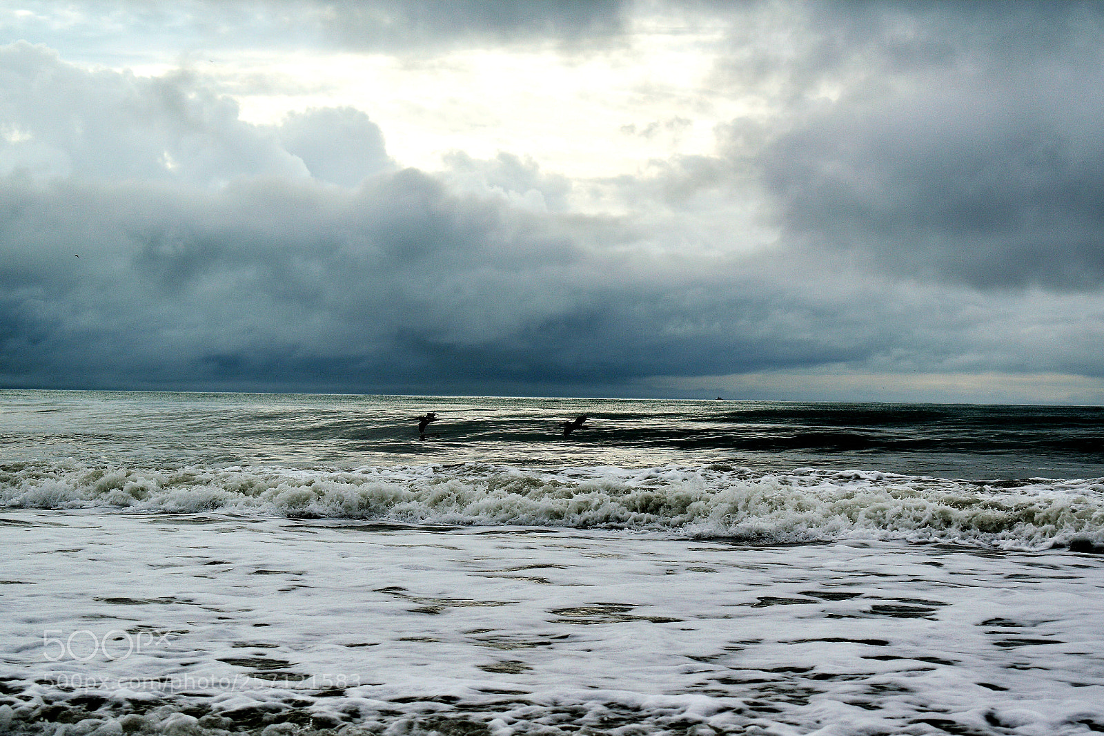 Nikon D5600 sample photo. Untitled photography