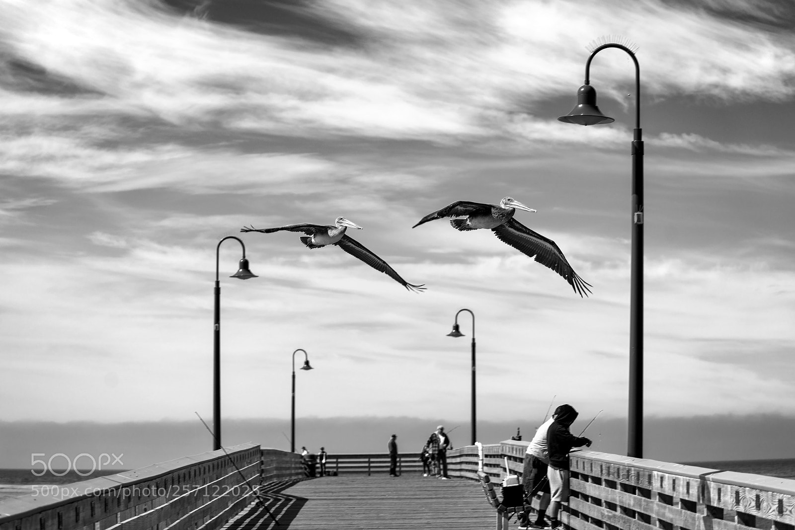 Sony a7R II sample photo. Flyby _ bw photography