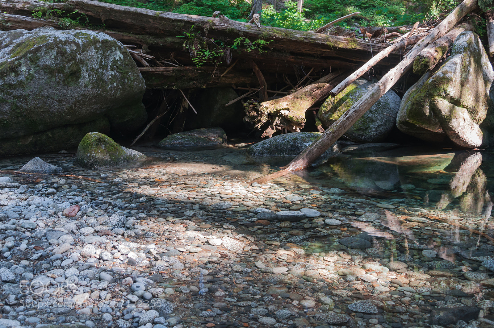 Nikon D90 sample photo. Stones, wood and lagoon photography