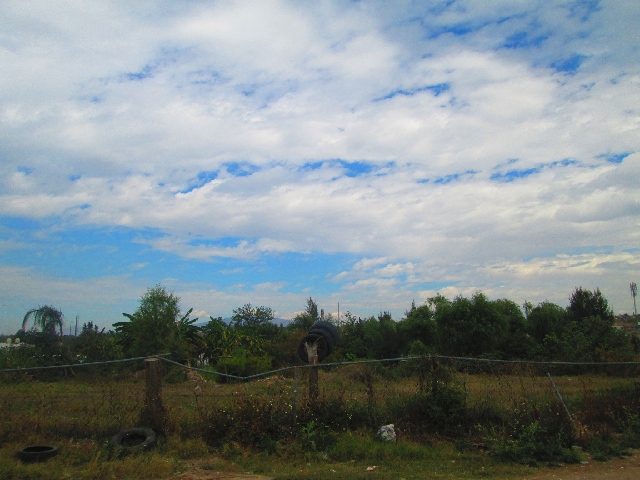 Canon PowerShot A2300 sample photo. Contamination photography