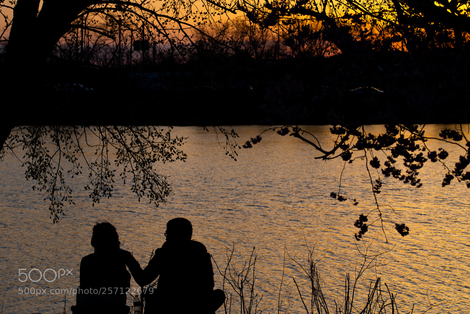 Nikon D600 sample photo. Untitled photography