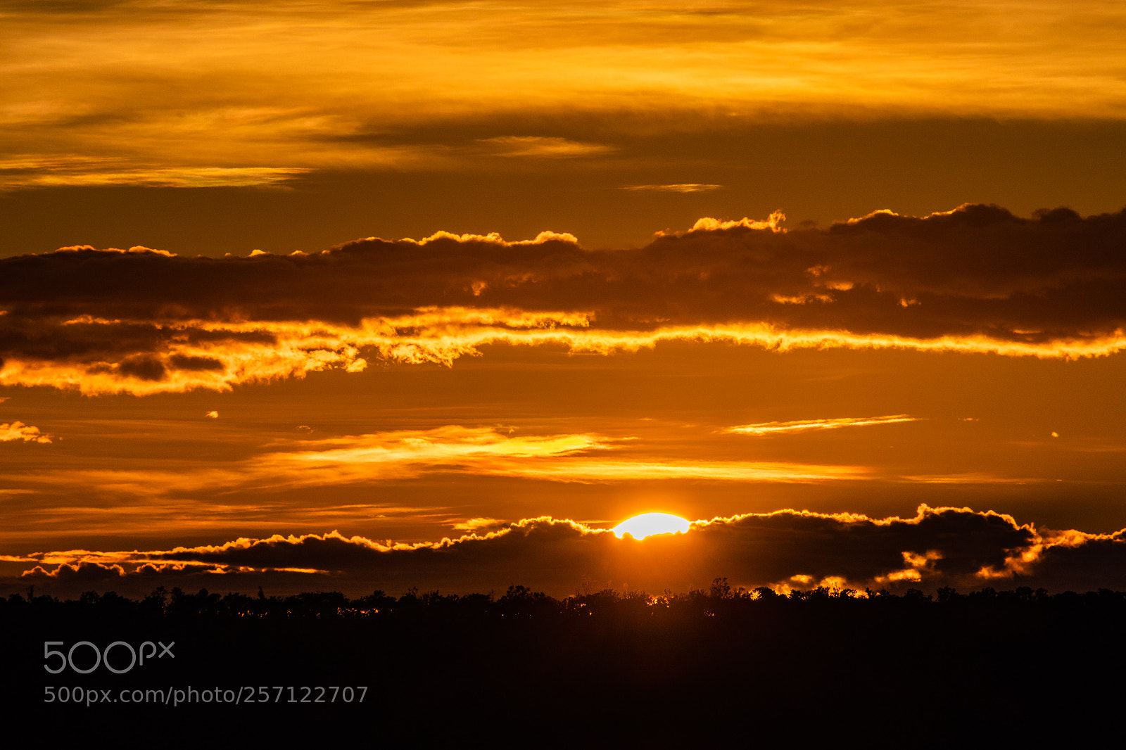 Canon EOS 800D (EOS Rebel T7i / EOS Kiss X9i) sample photo. Jalapao photography