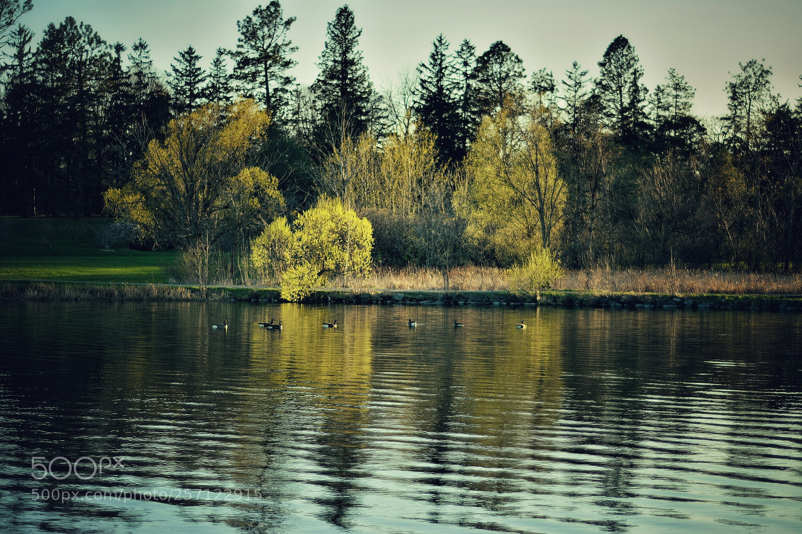 Nikon D7100 sample photo. Tranquility ... photography