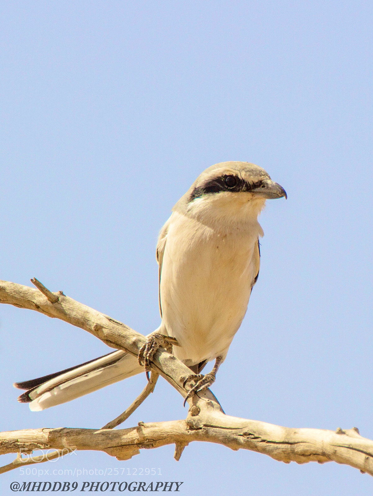 Canon EOS 7D sample photo. Img photography