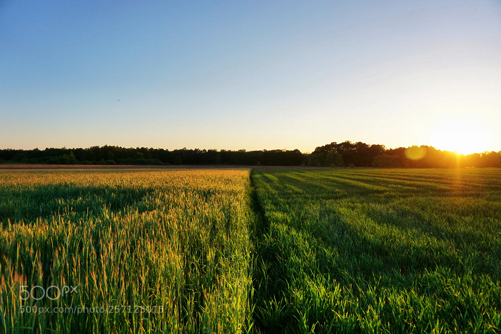 Sony a6000 sample photo. Two worlds photography