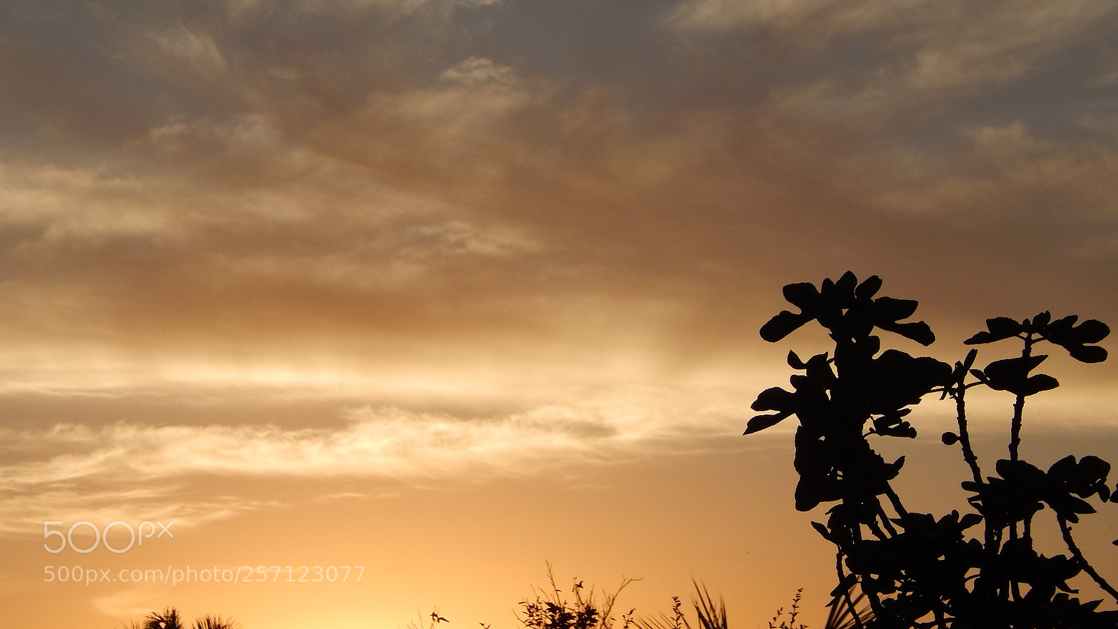 Nikon Coolpix L820 sample photo. Por do sol photography