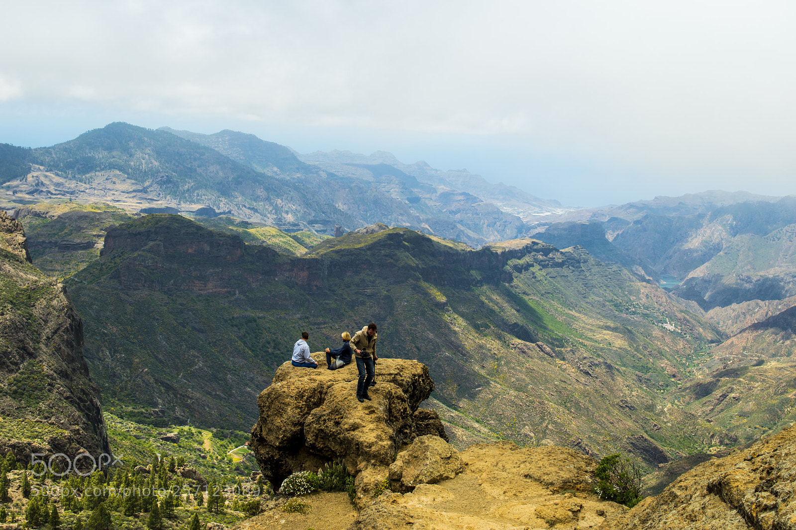 Nikon D5600 sample photo. In the clouds photography