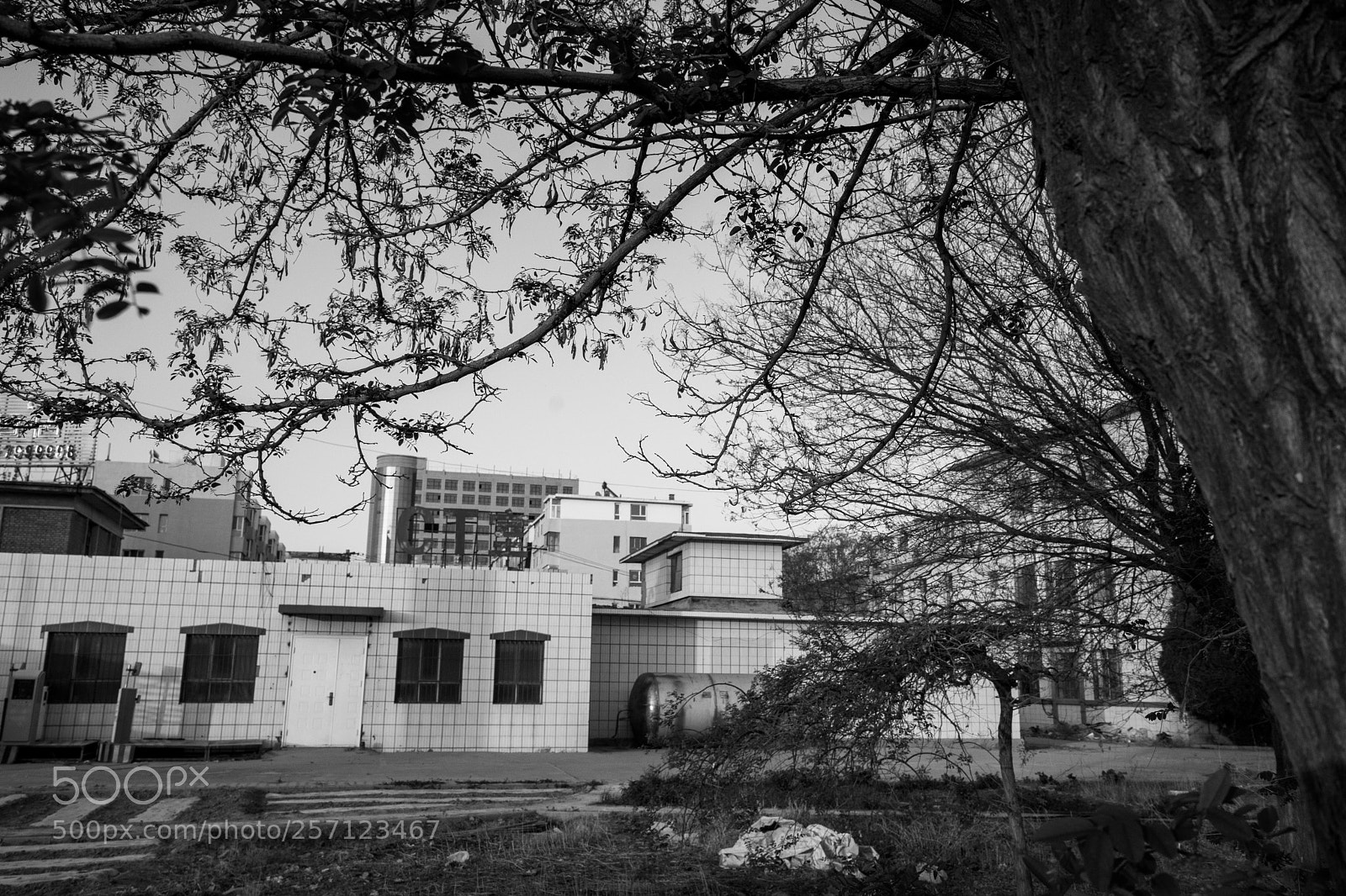 Sony a7 II sample photo. Hospital abandoned photography