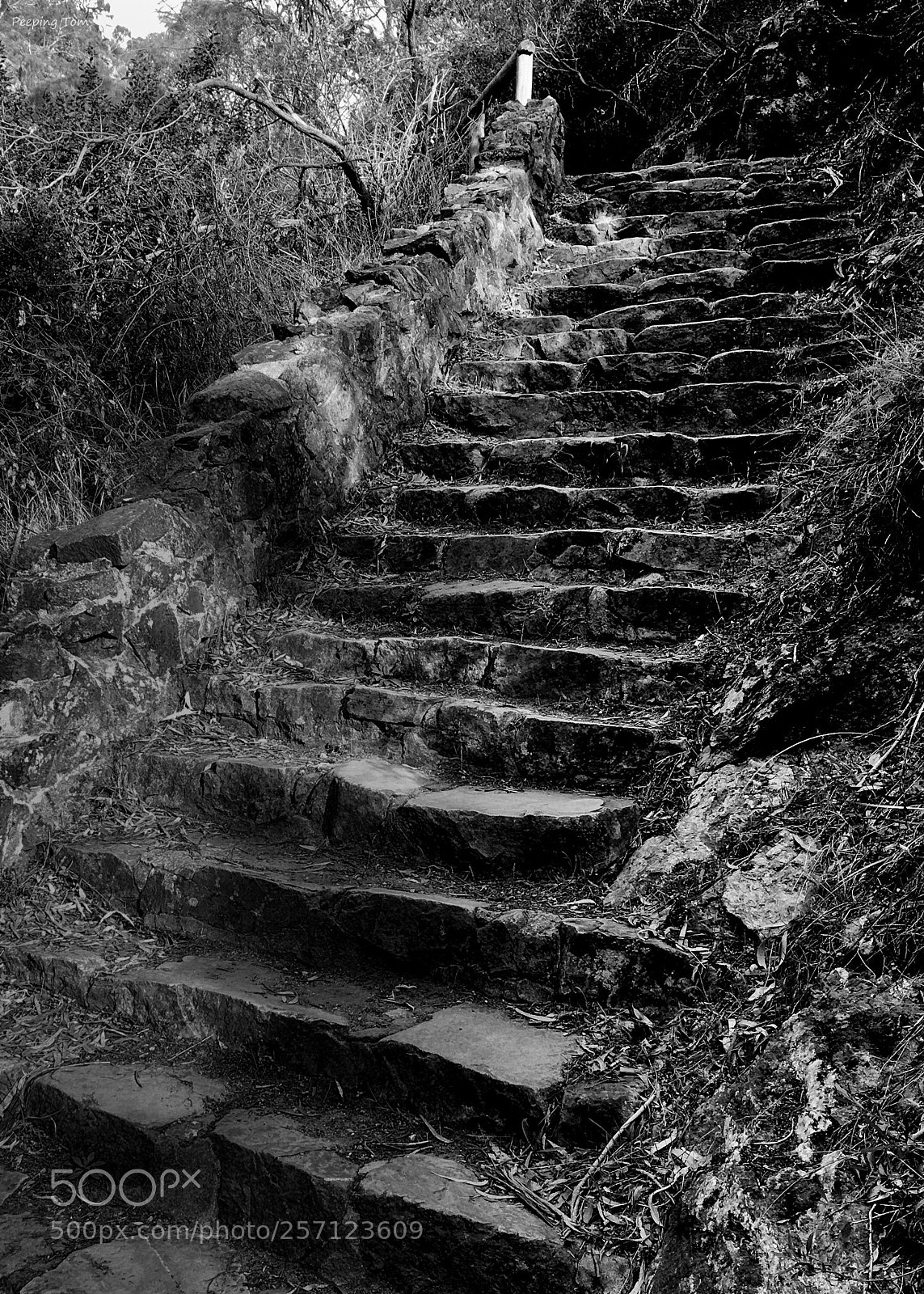 Apple iPhone SE sample photo. Morialta steps photography