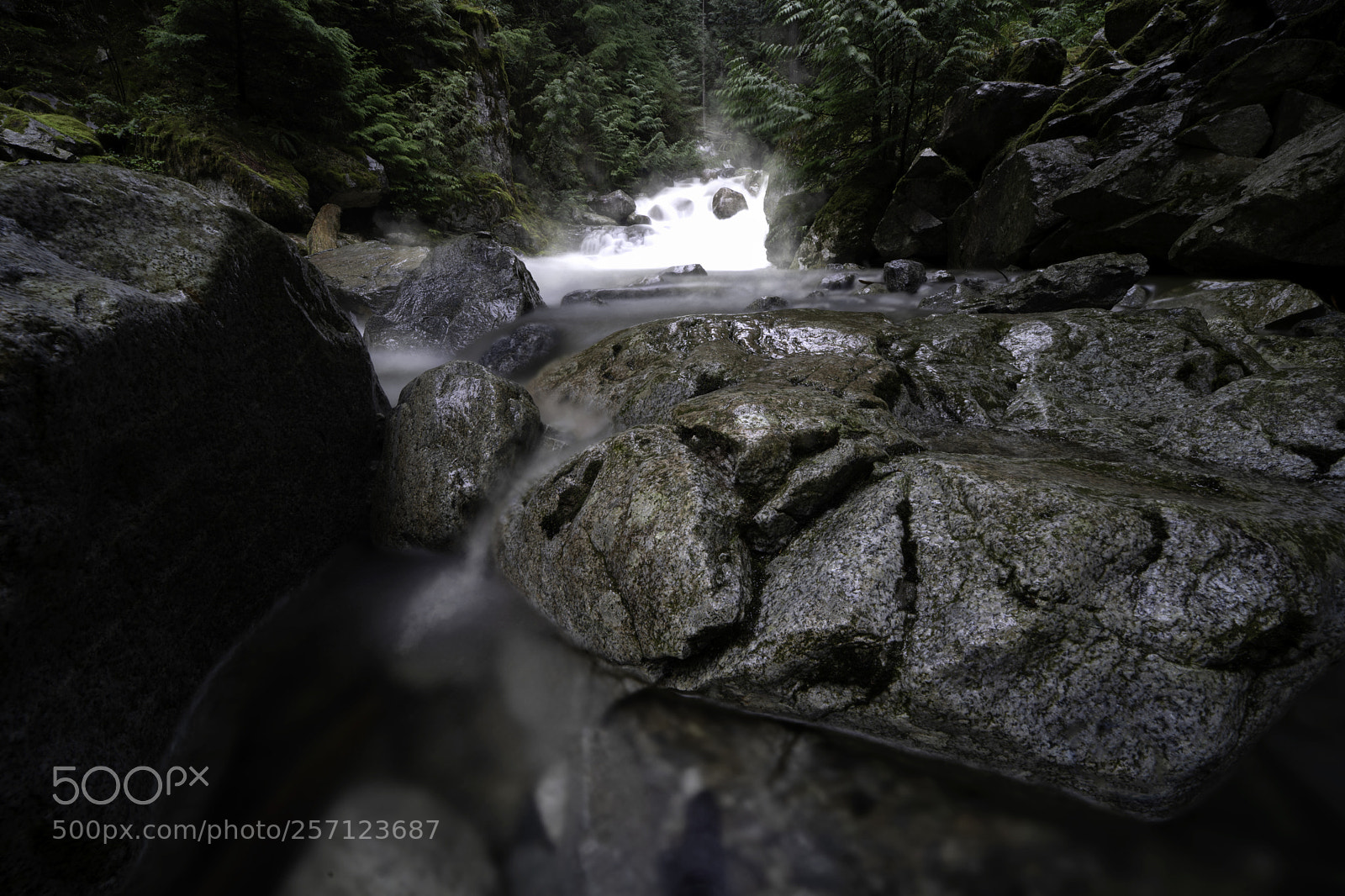 Sony a9 sample photo. Fogbrushed photography