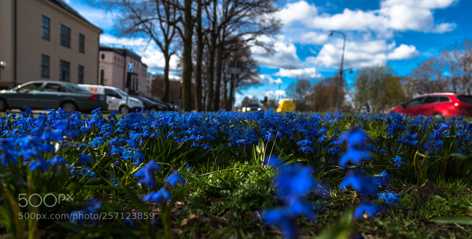 Canon EOS 6D sample photo. Swedish springtime photography
