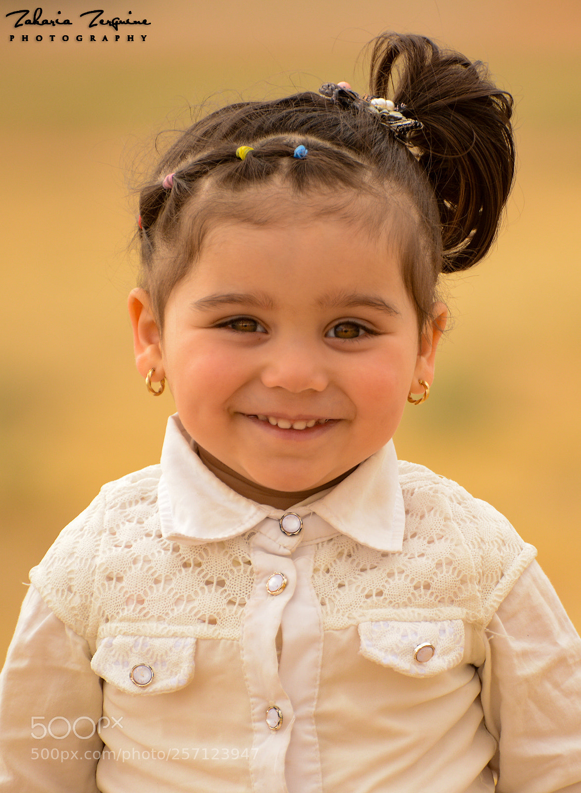 Nikon D800E sample photo. Untitled photography