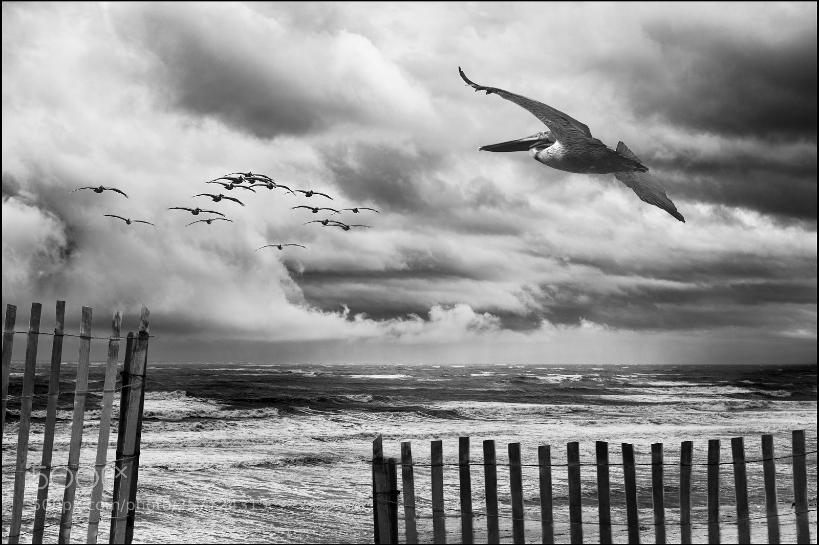 Nikon D810 sample photo. Before the storm photography
