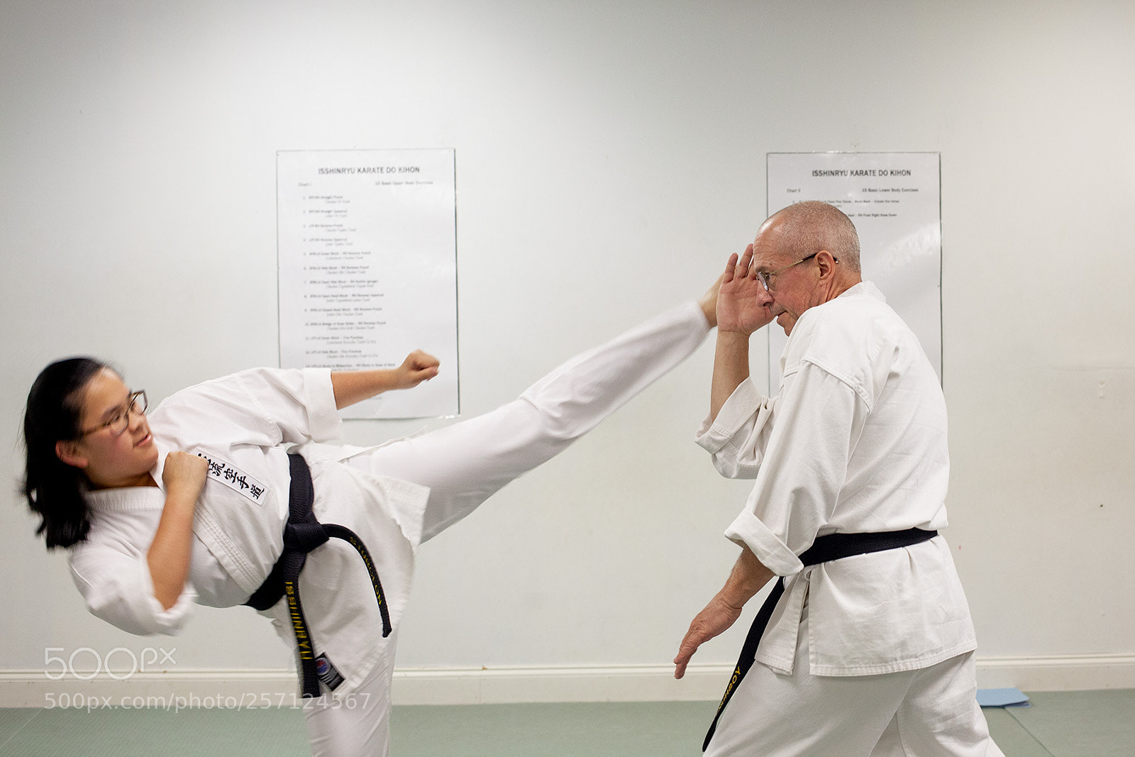Canon EOS 5D Mark II sample photo. Ashleigh's okinawan kick photography