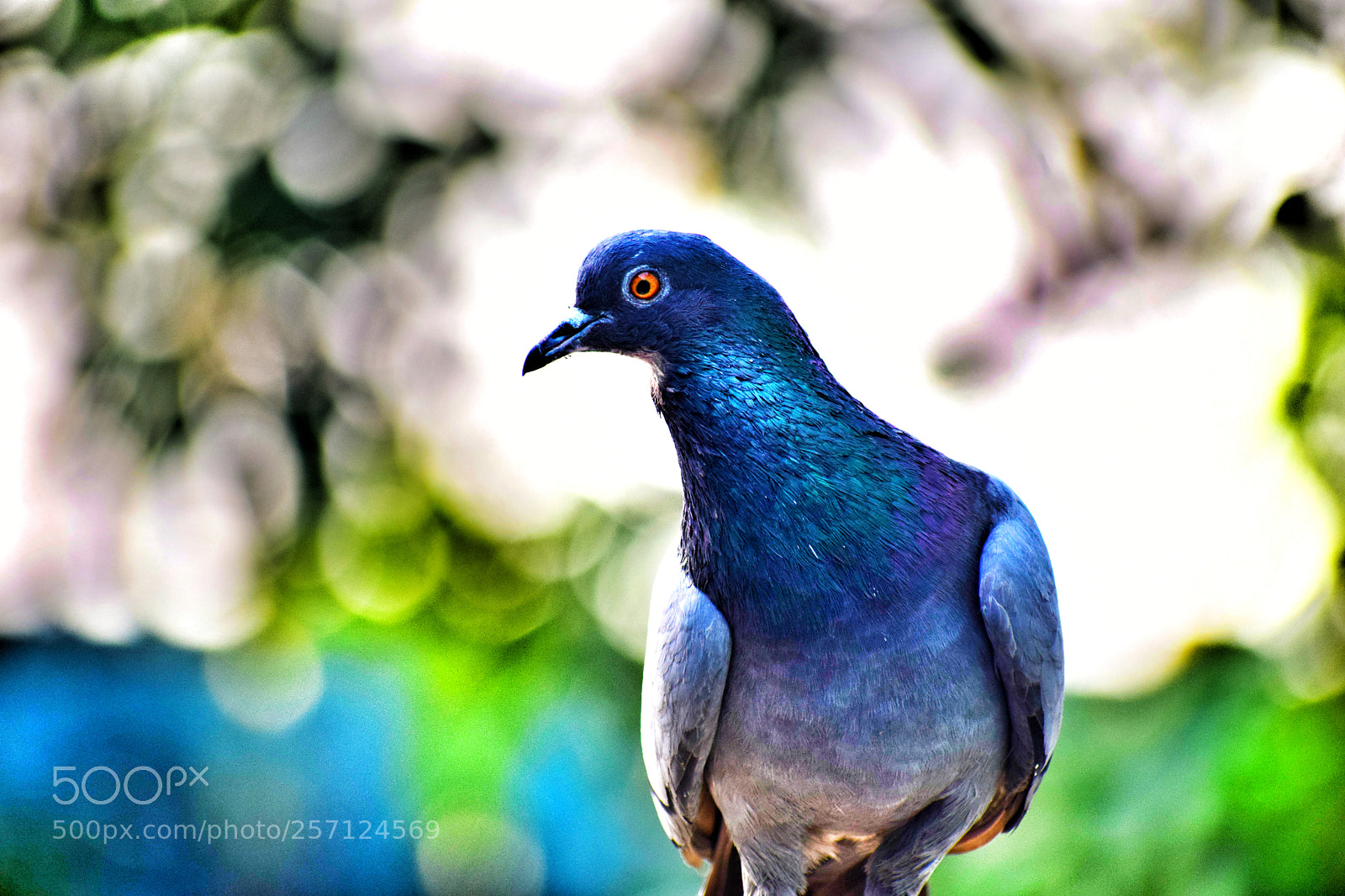 Nikon D5300 sample photo. Natural beauty photography