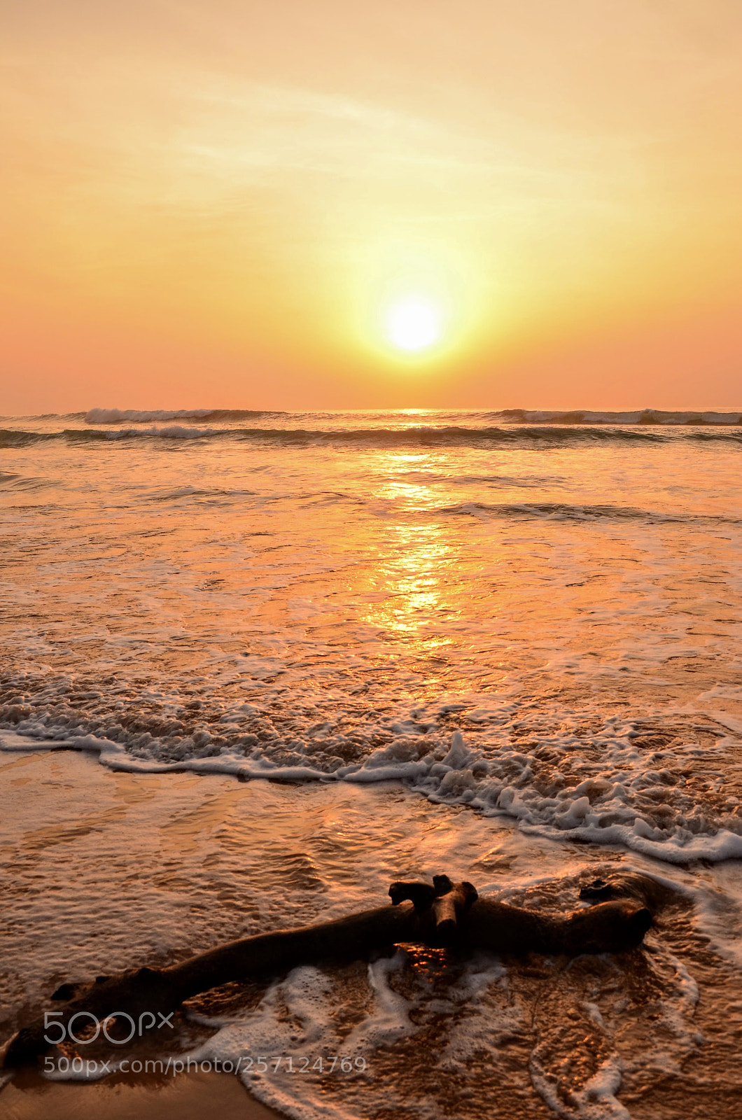 Nikon D7000 sample photo. Sunrise special... photography