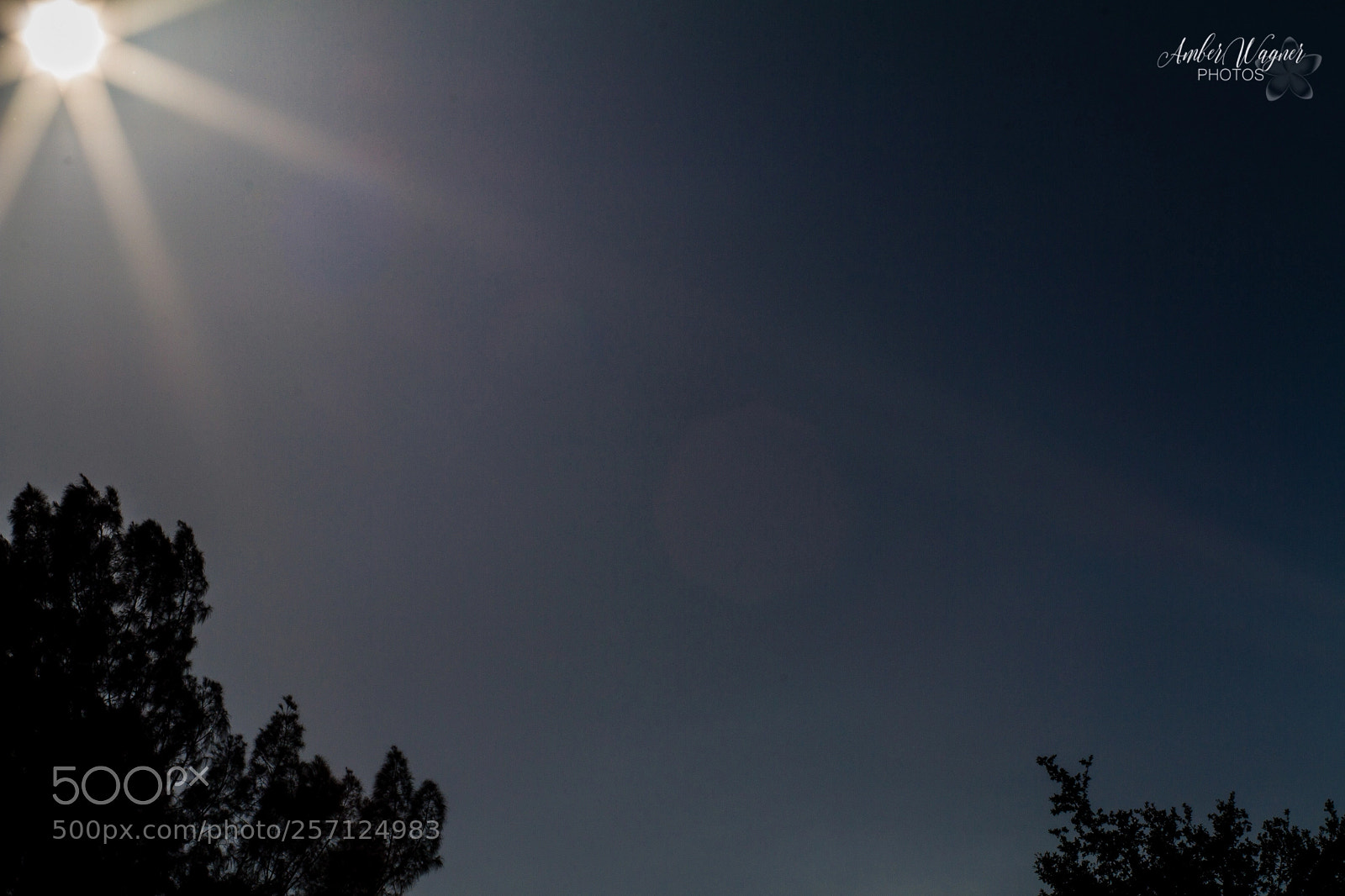 Canon EOS 7D sample photo. Rays photography