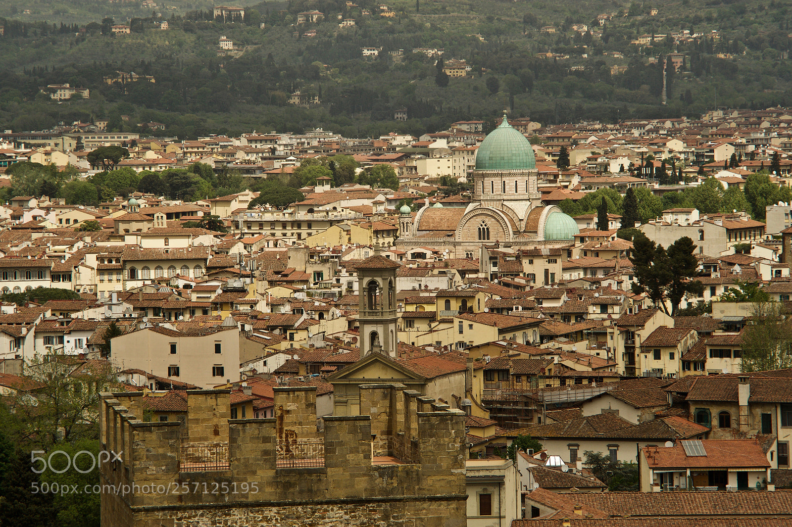 Nikon D700 sample photo. Florence skyline photography
