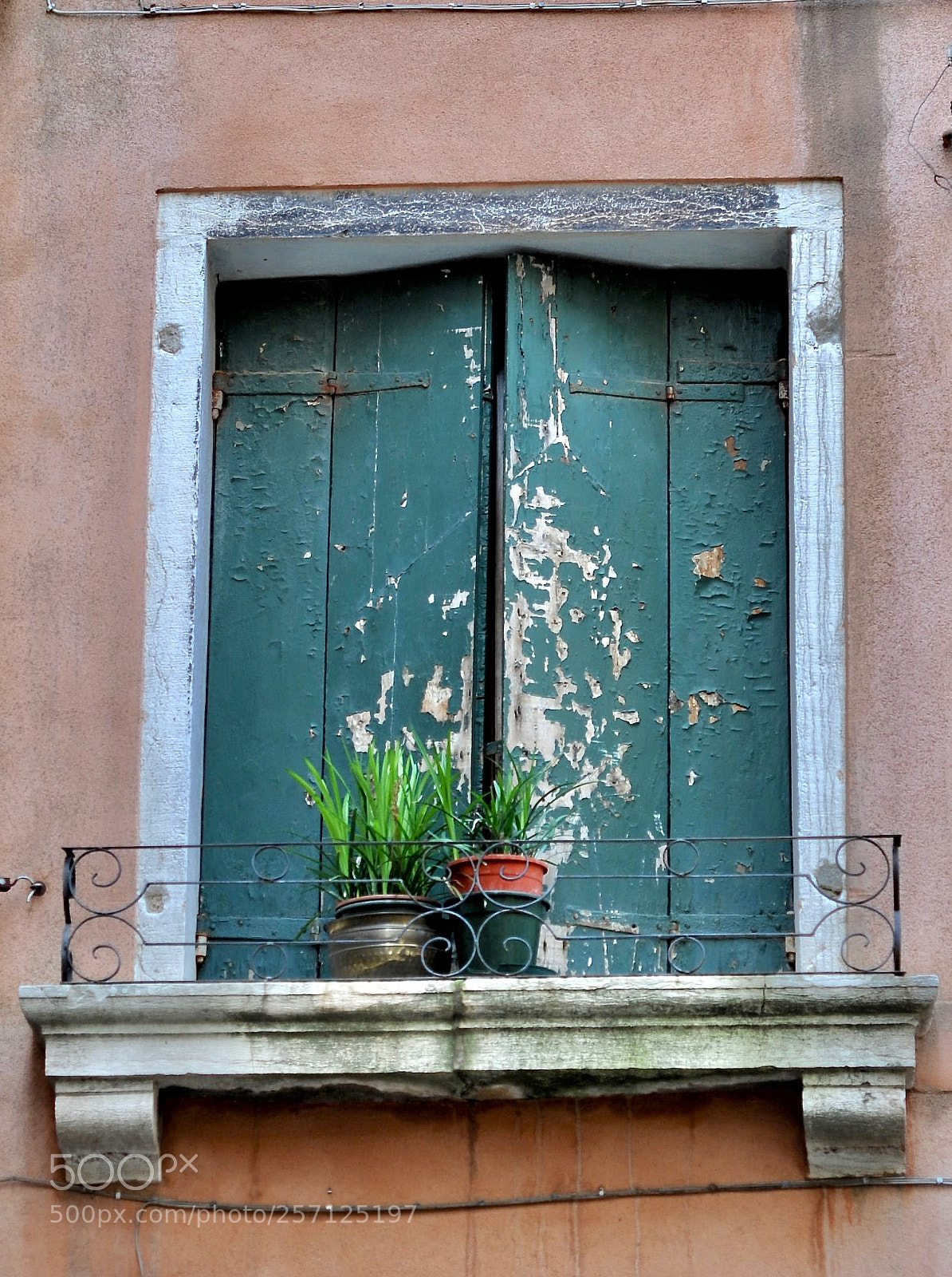 Nikon D700 sample photo. Venice window ledge photography