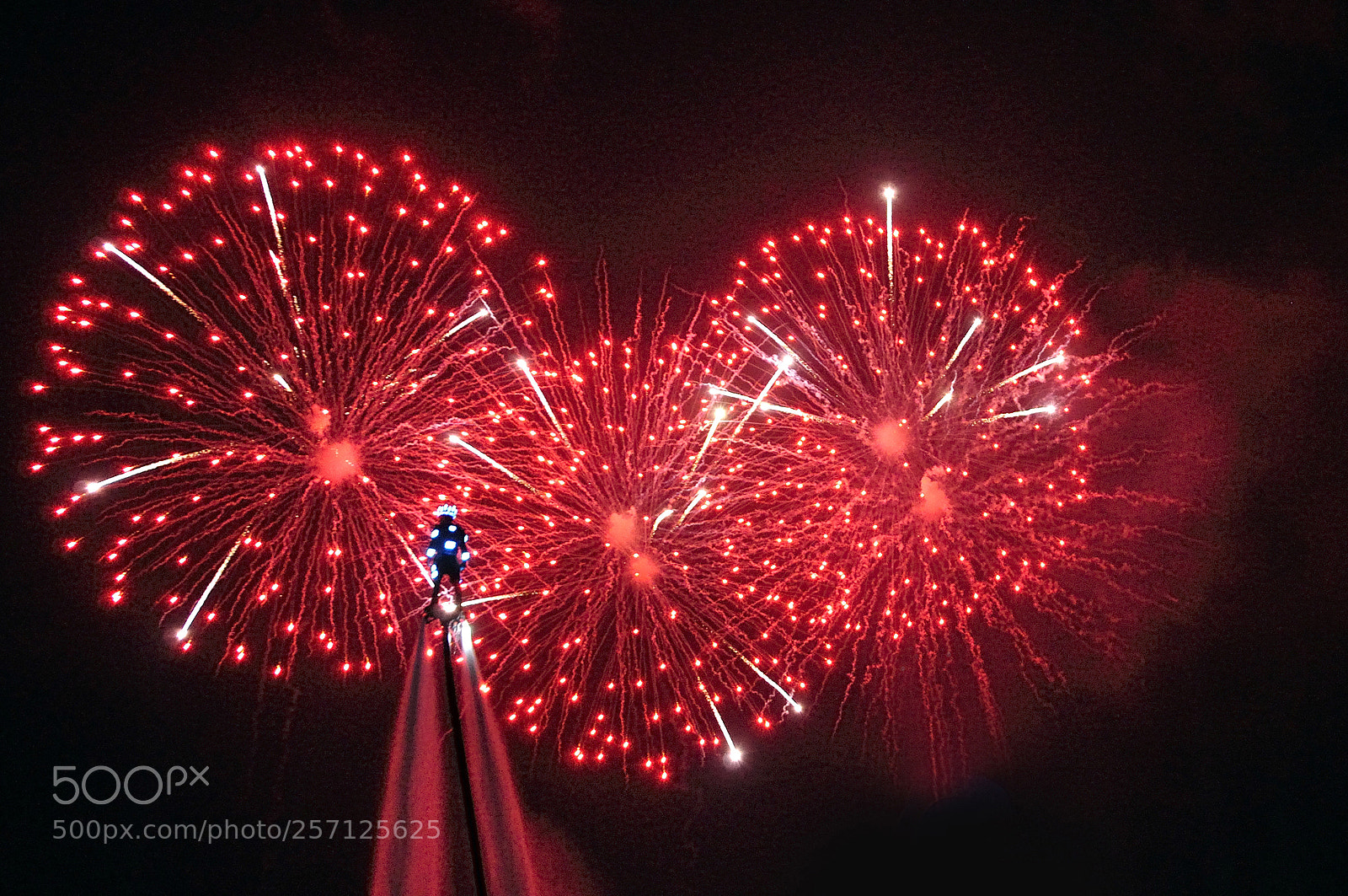 Nikon D90 sample photo. Fireworks photography