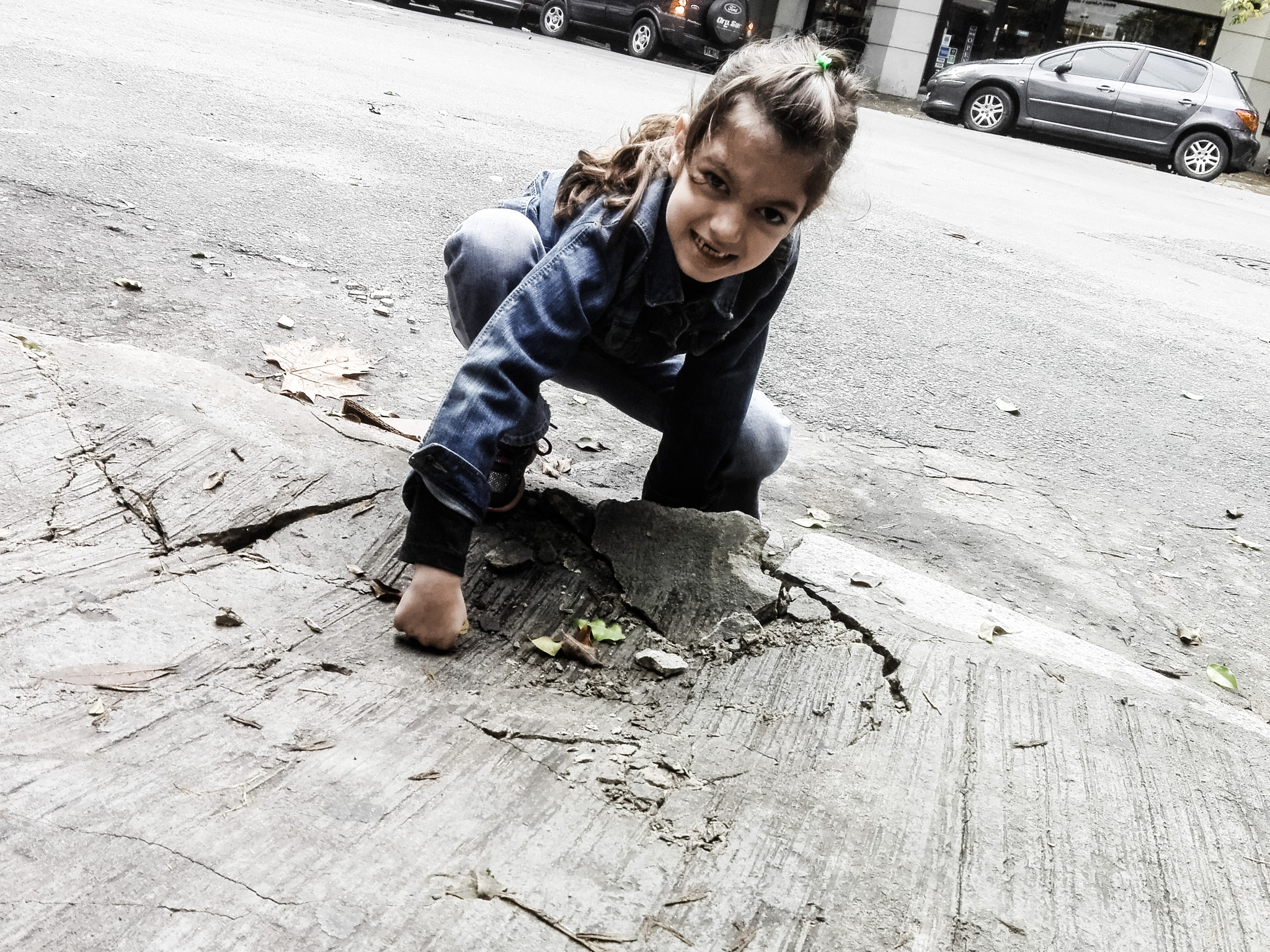 HUAWEI Y6II sample photo. The beast photography