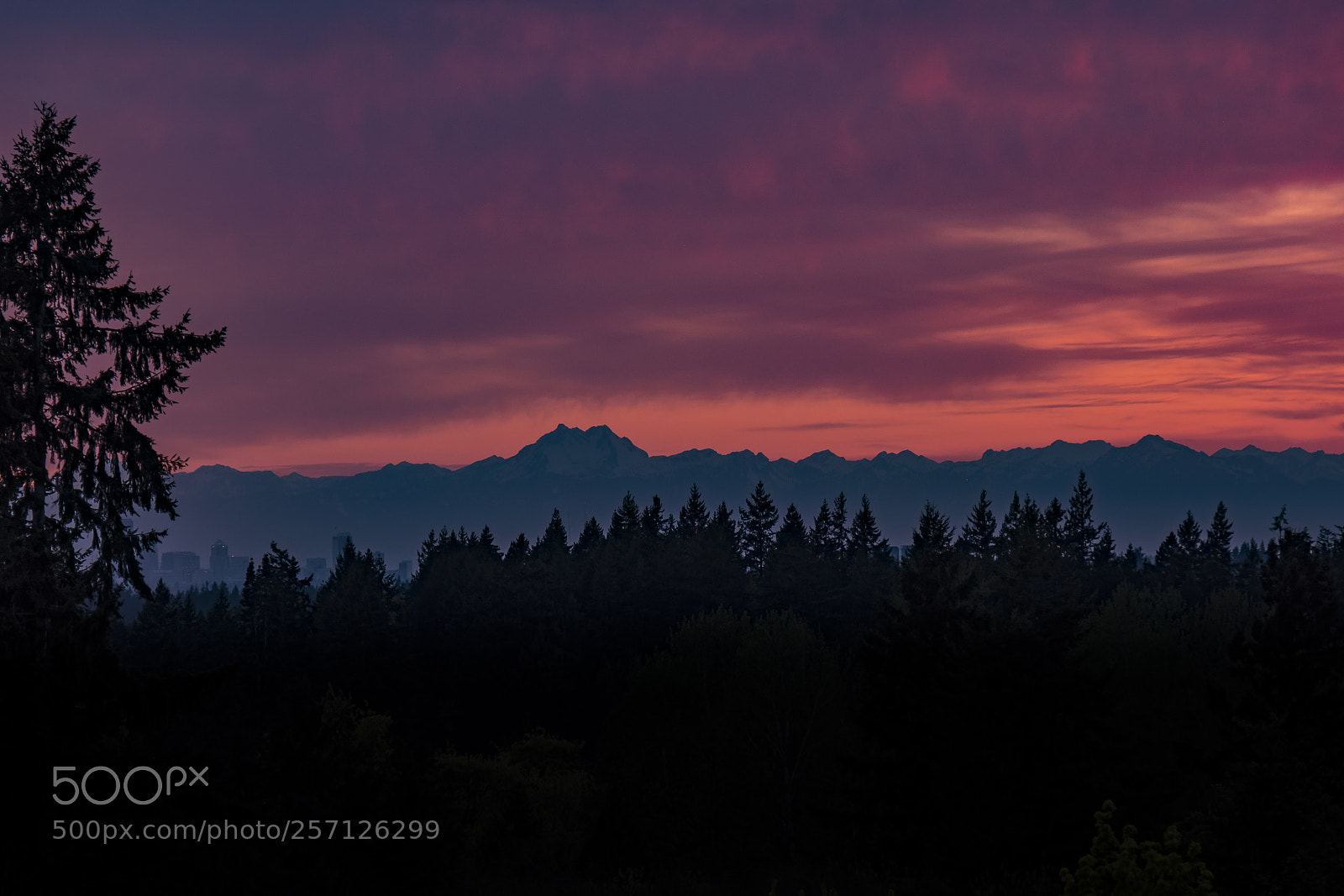 Fujifilm X-T2 sample photo. Sammamish sunset photography