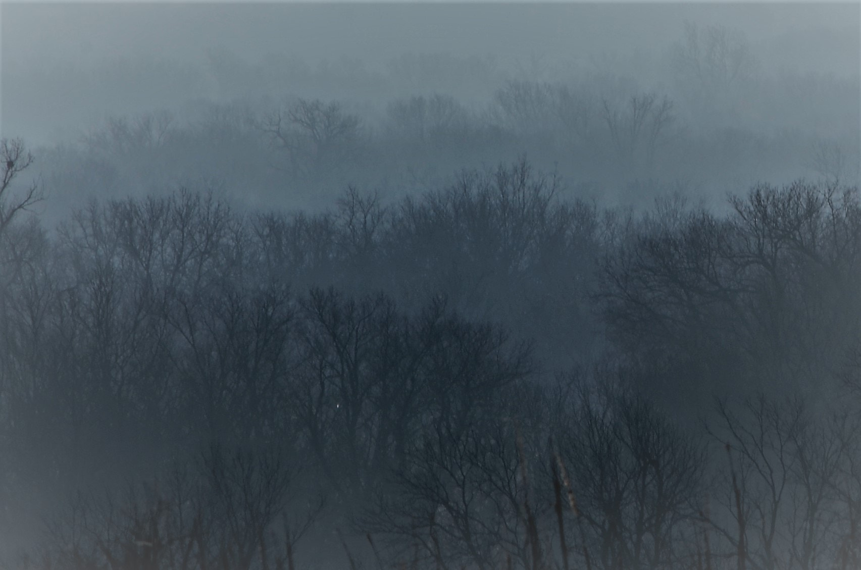Nikon D5100 sample photo. Smokey photography