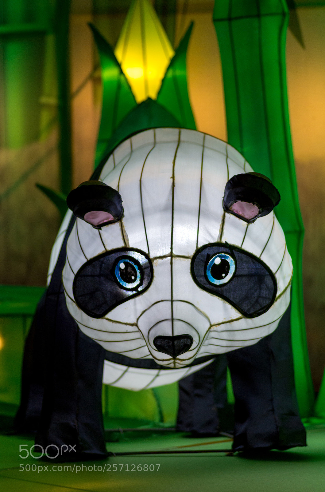 Pentax K-50 sample photo. Panda lantern photography