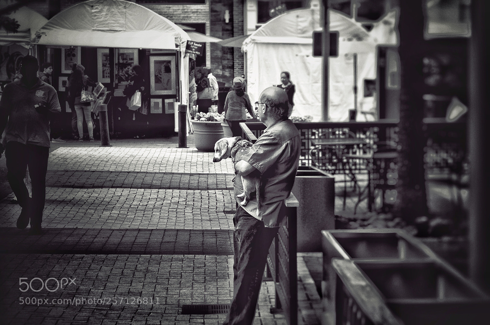 Nikon D7000 sample photo. Spring love photography