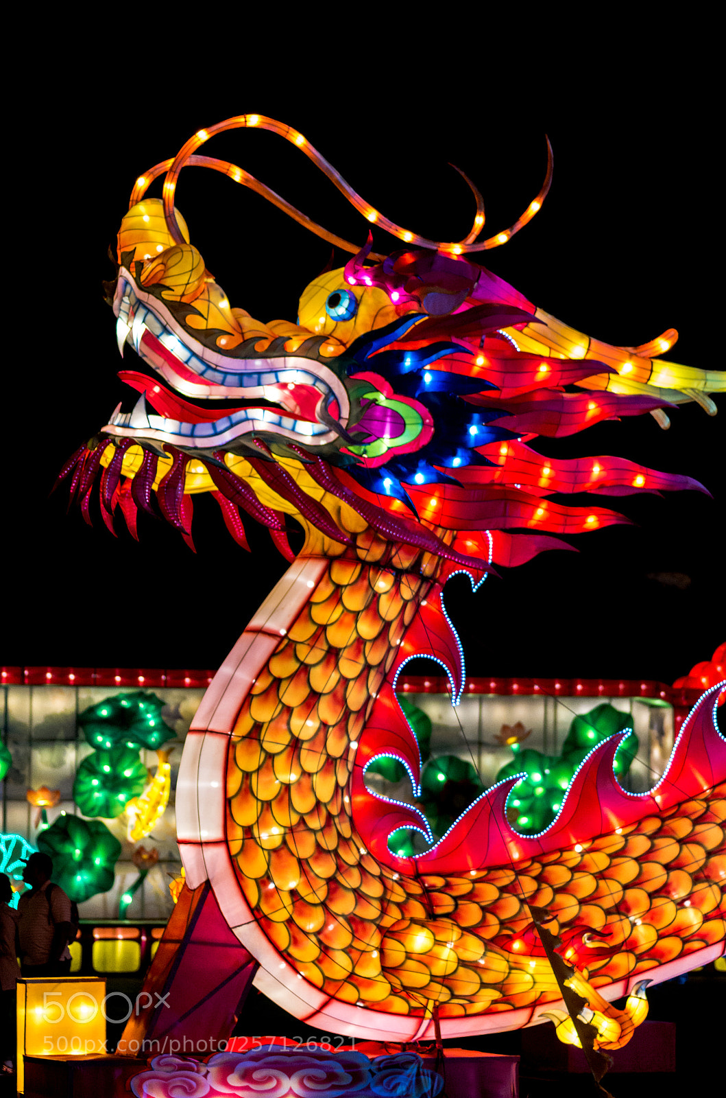 Pentax K-50 sample photo. Dragon lantern photography