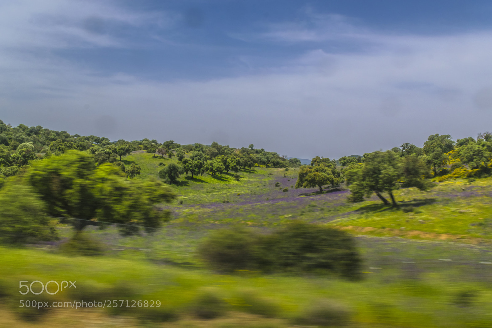 Nikon D3300 sample photo. Primavera a alta velocidad photography