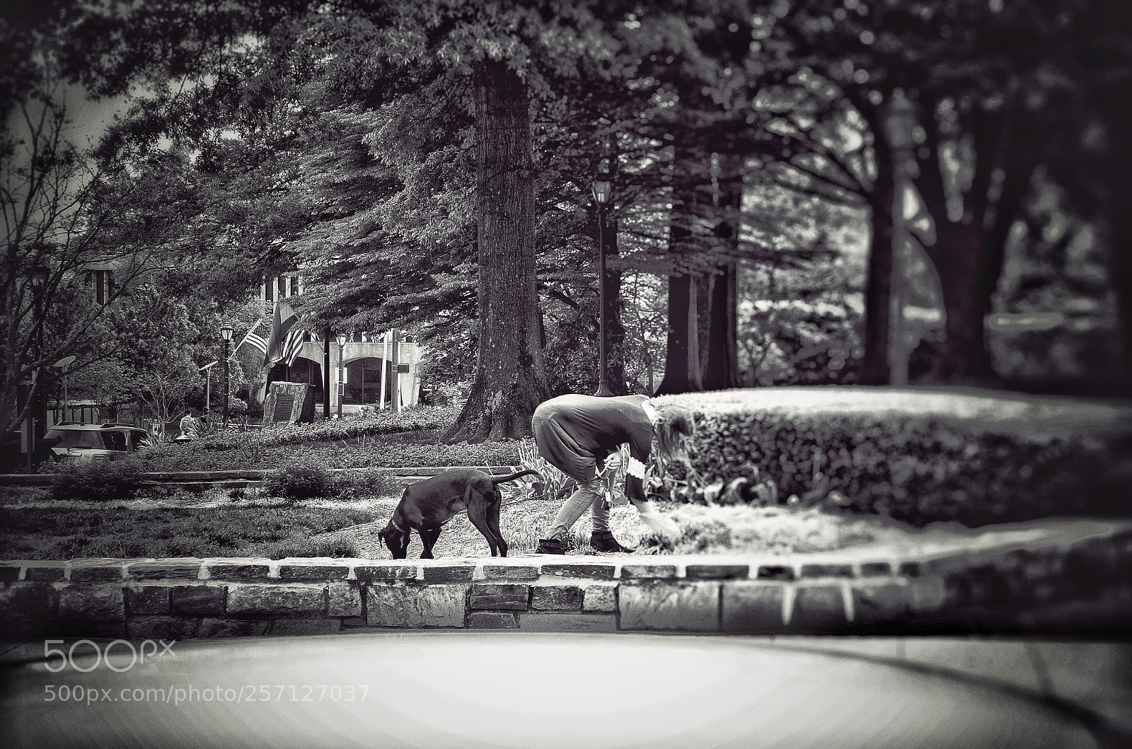 Nikon D7000 sample photo. / photography
