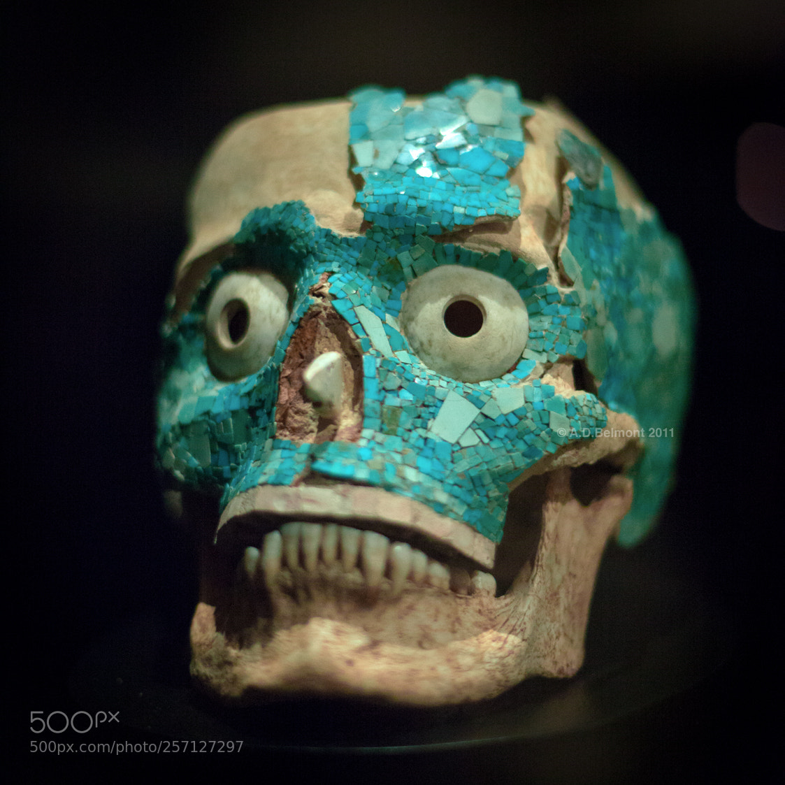 Canon EOS 5D Mark II sample photo. Prehispanic skull photography