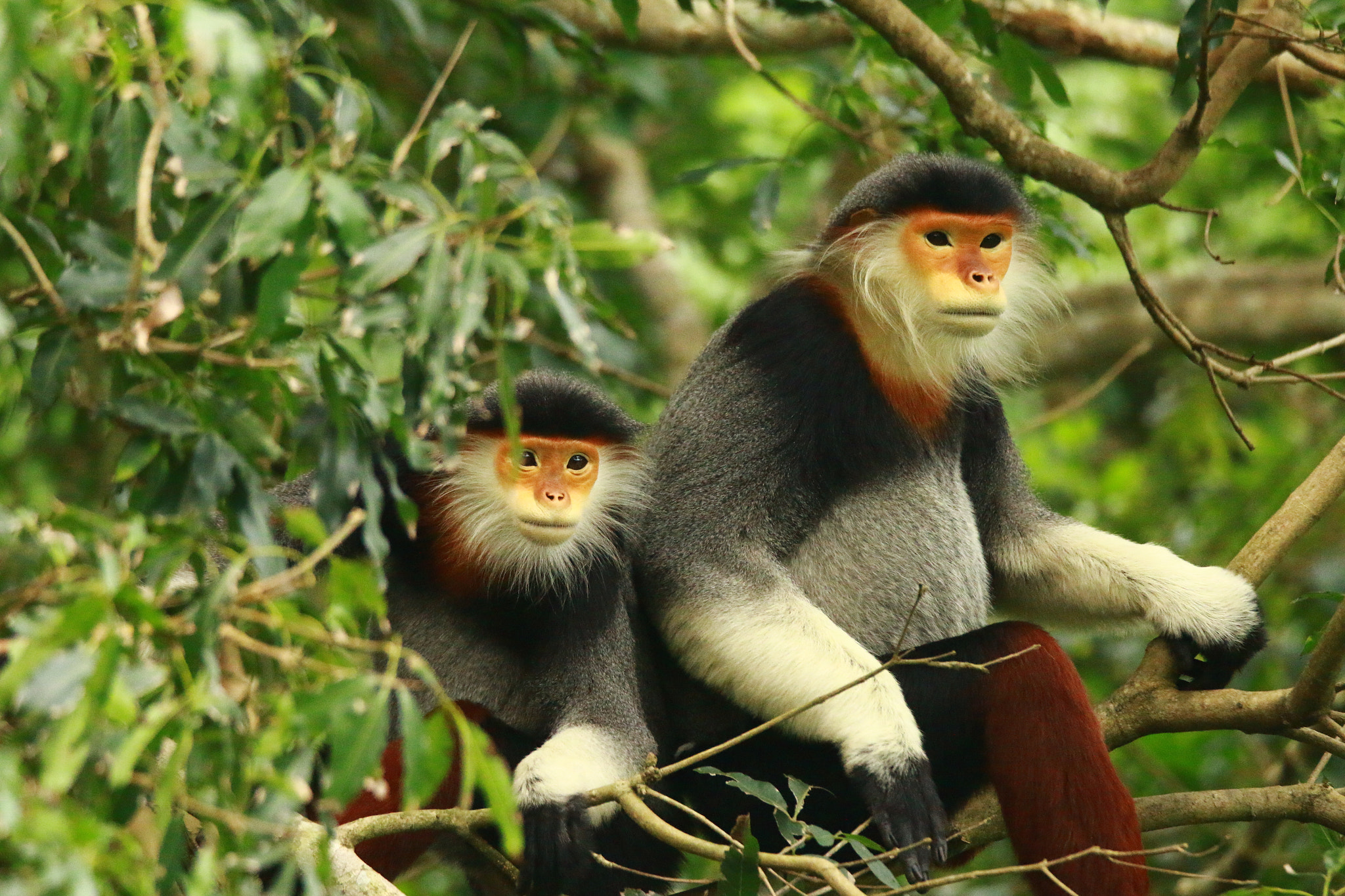 Tamron SP 150-600mm F5-6.3 Di VC USD sample photo. Img photography