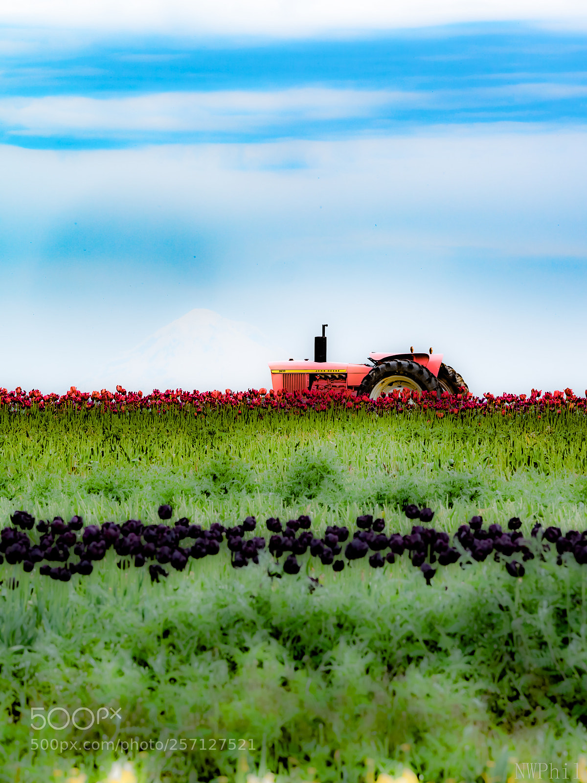 Olympus PEN-F sample photo. Toy tractor photography