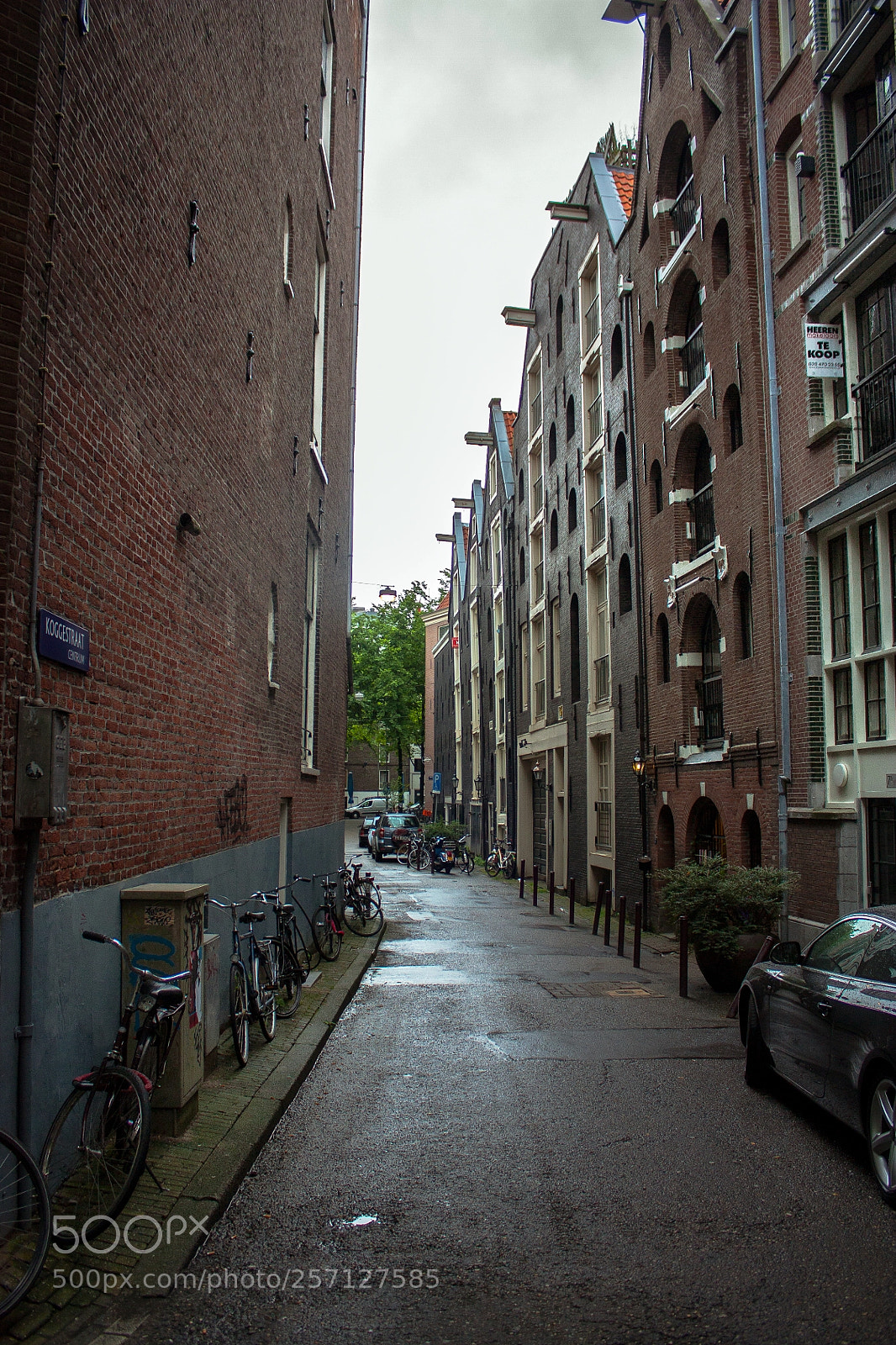 Canon EOS 450D (EOS Rebel XSi / EOS Kiss X2) sample photo. Amsterdam photography