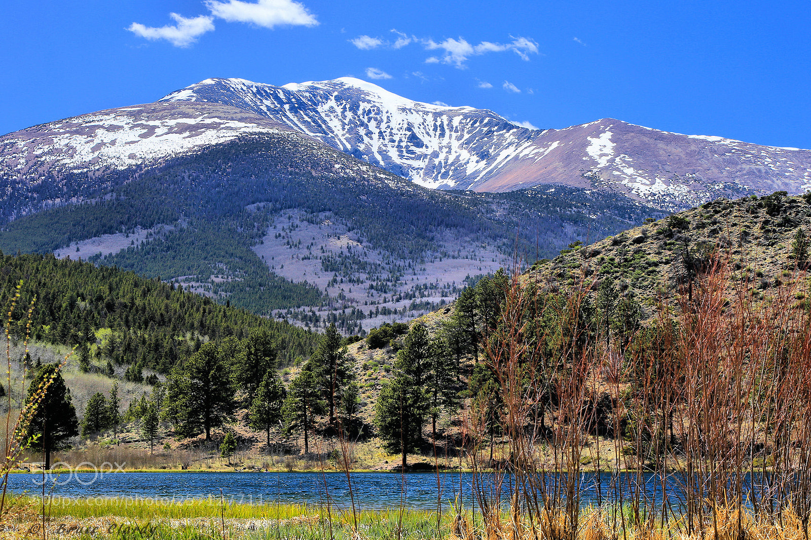 Canon EOS 6D sample photo. Springtime at o'haver lake photography